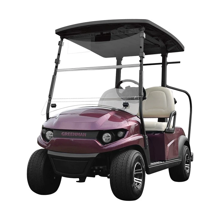 Żewġ Vetturi tas-Sedil f'Cart tal-Golf Elettriku